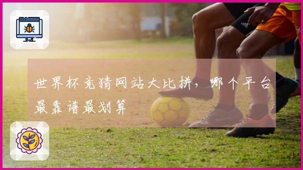 世界杯竞猜网站大比拼，哪个平台最靠谱最划算