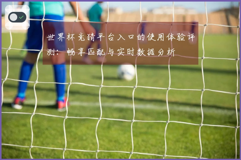 世界杯竞猜平台入口的使用体验评测：畅享匹配与实时数据分析