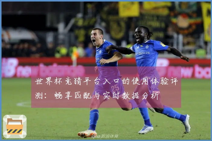 世界杯竞猜平台入口的使用体验评测：畅享匹配与实时数据分析