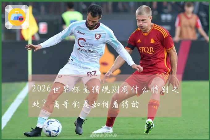 2026世界杯竞猜规则有什么特别之处？高手们是如何看待的