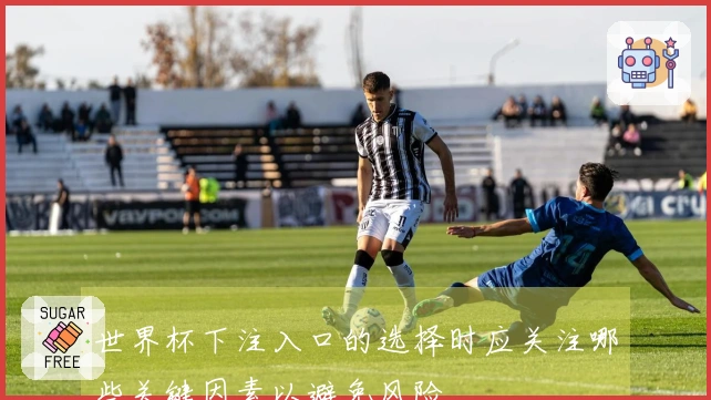 世界杯下注入口的选择时应关注哪些关键因素以避免风险
