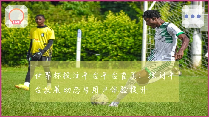 世界杯投注平台平台首页：探讨平台发展动态与用户体验提升