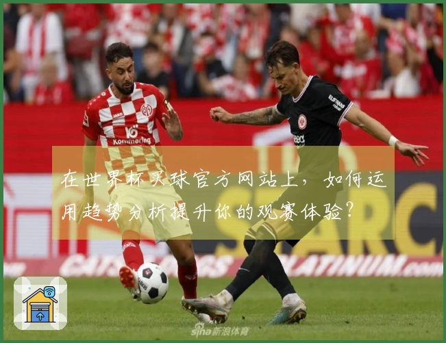 在世界杯买球官方网站上，如何运用趋势分析提升你的观赛体验？