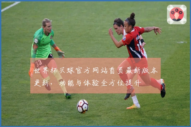 世界杯买球官方网站首页最新版本更新，功能与体验全方位提升