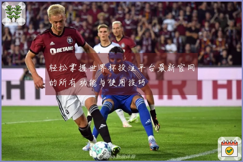 轻松掌握世界杯投注平台最新官网的所有功能与使用技巧